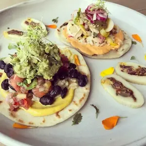 Beautifully plated up, brightly coloured soft tacos for gourmet casual wedding catering